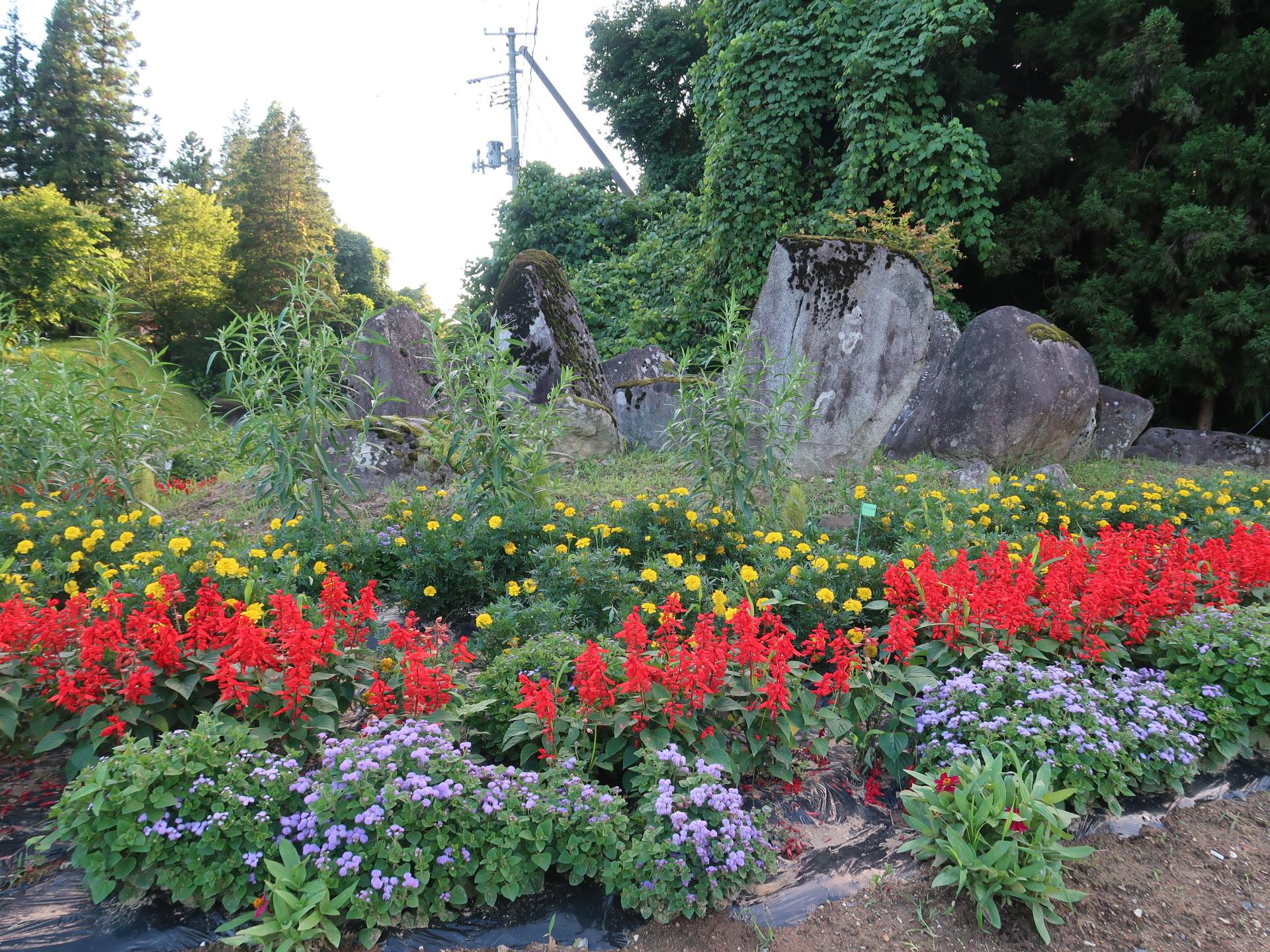舞川15区自治会の花壇の写真